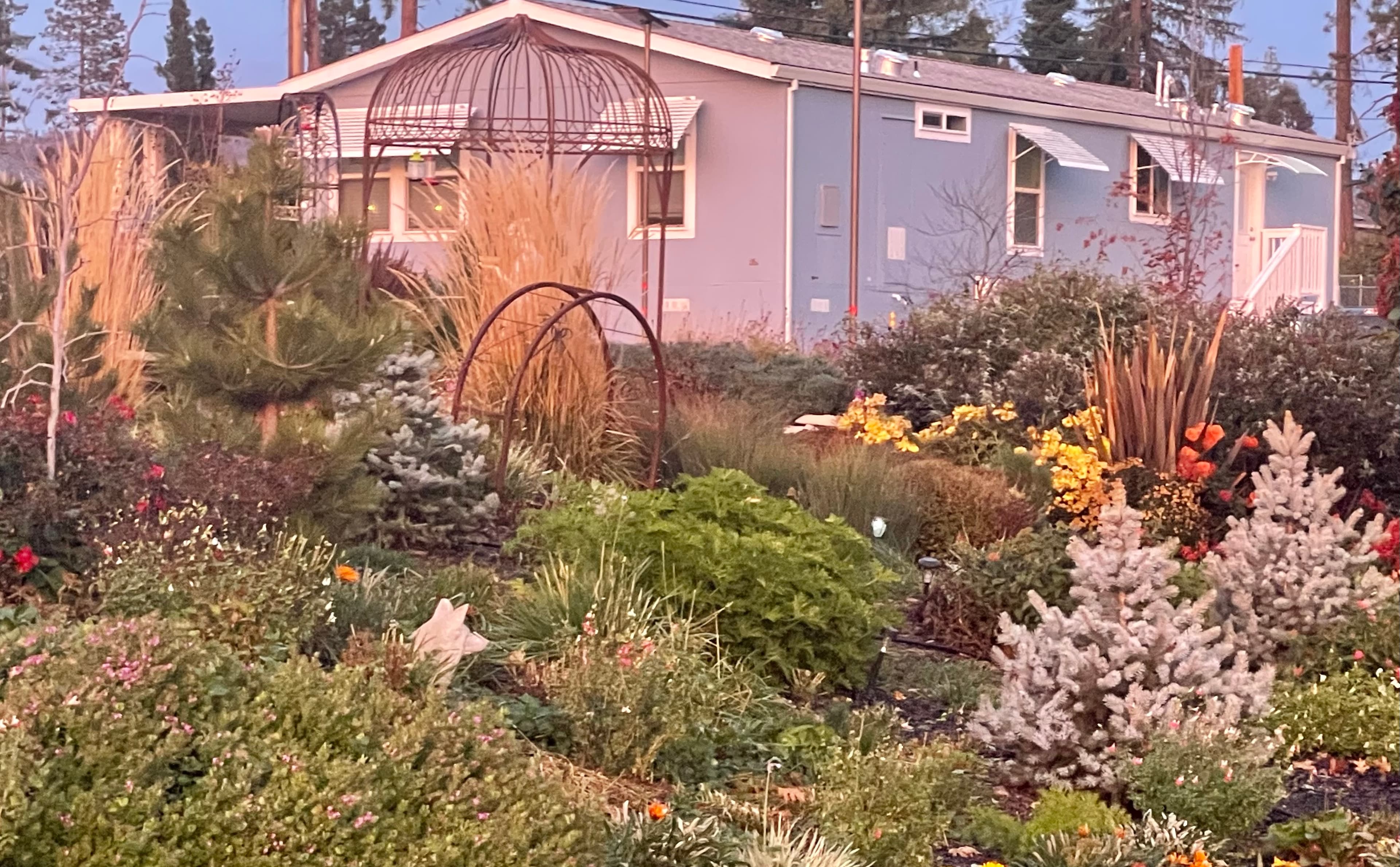 Landscape and Irrigation Systems